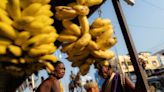 India’s RBI Must Retain Focus on Food Inflation, Economists Say