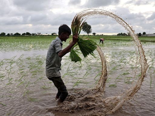 Latest News Today Live Updates August 1, 2024: IMD forecasts normal to above-normal rainfall for August, September