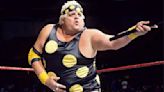 Tommy Dreamer Opens Up About Working With His 'Idol,' WWE Hall Of Famer Dusty Rhodes - Wrestling Inc.