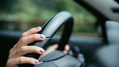 疑從行車紀錄器流出？女子車內「摸摸」享受玩具照瘋傳 車廠澄清喊報警