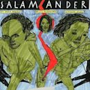 Salamander