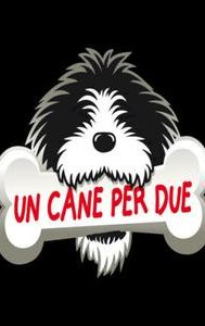 Un cane per due