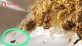 Man 'really sad' to find cockroach in biryani from industrial canteen, SFA looking into case