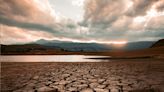 國際週報》乾旱成為新常態？歐洲遭逢500年大旱危機