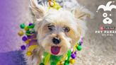 St. Louis Purina Pet Parade registration now open