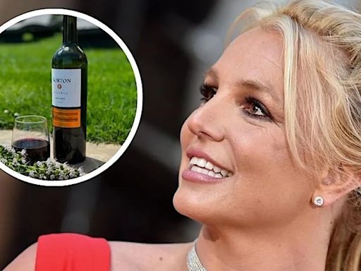 Britney Spears elogió a un Malbec mendocino y lo compartió en sus redes: cuál es la bodega que eligió | Economía