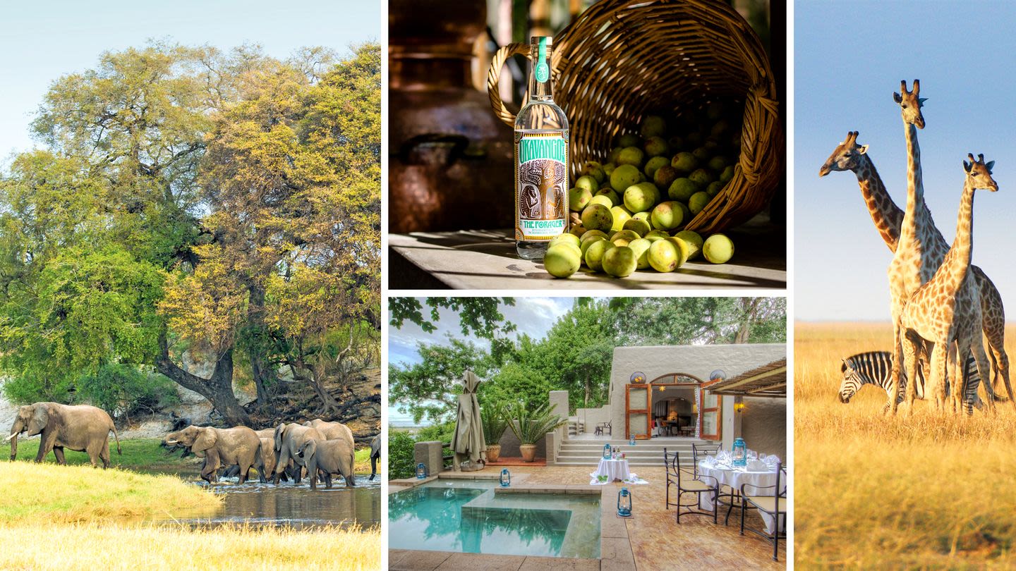 ELLE Escapes: Botswana