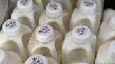 There’s bird flu in US dairy cows. Raw milk drinkers aren’t deterred - WTOP News