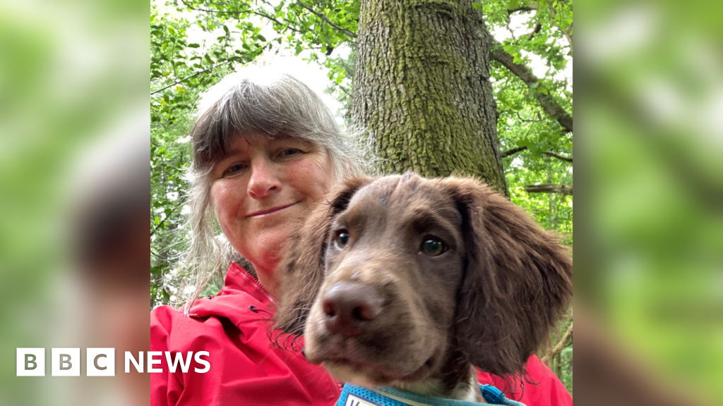 Forest of Dean dog walker attacked by bird of prey