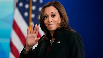 VP Harris faces backlash in crucial swing state after her 'disastrous' anti-fracking position resurfaces