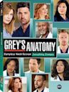 Grey's Anatomy season 9