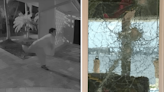 Video shows attempted burglar try to bust through window of Venetian Islands home