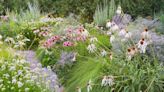 How to Create a Gravel Garden, an Eco-Friendly Landscaping System That Requires Minimal Water