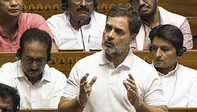 BJP, RSS Not Entire Hindu Community: Rahul Gandhi In Lok Sabha
