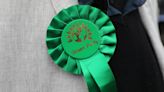 Green Party to review health policy after pledging to reduce caesarean sections