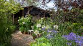 Ditching weedkiller and gardening for nature boosts wellbeing more, study says