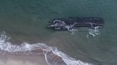 Mysterious shipwreck washes up on Canadian coast ‘centuries after it sank’