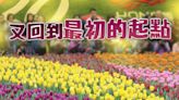 花展明年3月終重返維園 攤位本月中拍賣 紅黃碼者禁競投