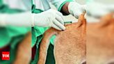 50% surge in animal bite cases in 2 months | Lucknow News - Times of India