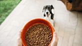 Canidae: Has the Dog Food Brand Issued a Recall in 2024?