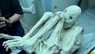 Mystery Peru 'alien mummies' deepens after new fingerprint analysis