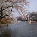 Inokashira Park