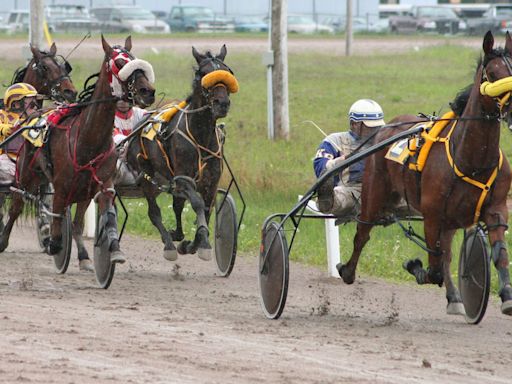 Horse racing track next to Bannockburn site sparks conservation row