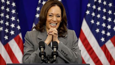 Dem insiders hint that Harris on top of the ticket could be WORSE