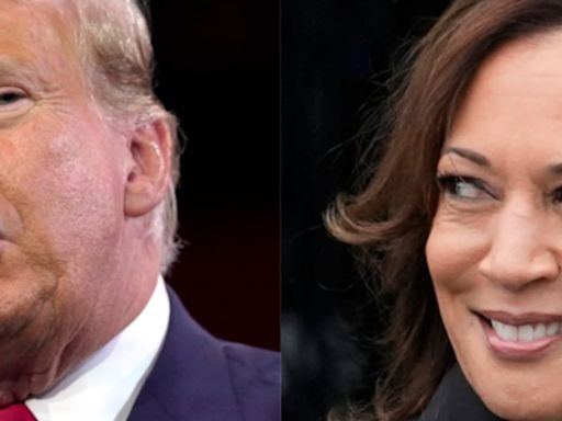 NEW POLL: What new numbers say about Harris vs Trump in Florida