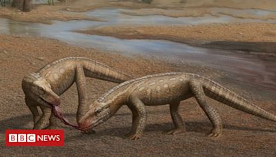 Palenteologia: o novo réptil de 237 milhões de anos de idade descoberto no Brasil