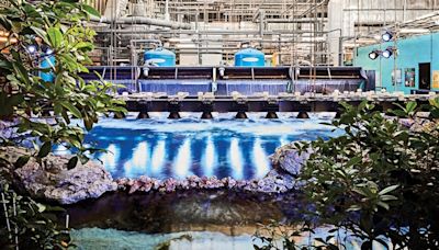 The innovative way the Georgia Aquarium manages millions of gallons of tank water