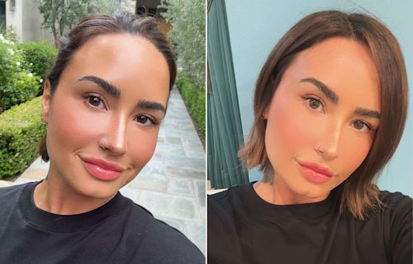 Demi Lovato Shows Off New Shorter Hairstyle — See the Photo!