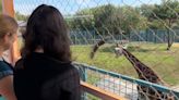 Zoo de Mykolaiv mantém-se aberto apesar da guerra