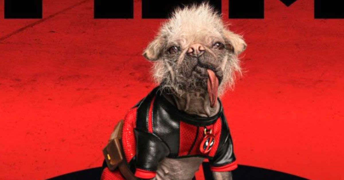 Who is Dogpool? How Deadpool & Wolverine's Peggy went from being 'Britain's ugliest dog' to online sensation