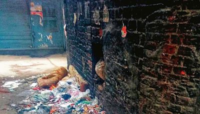 Ludhiana civic body faces flak over state of sanitation