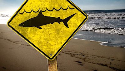 Multiple bitten by sharks in Walton County, officials hold press conference
