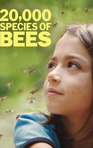 20,000 Species of Bees