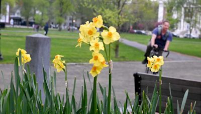 Overcast today in CT before sunny and near 80 on Tuesday, weather service says