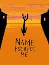 Name Escapes Me