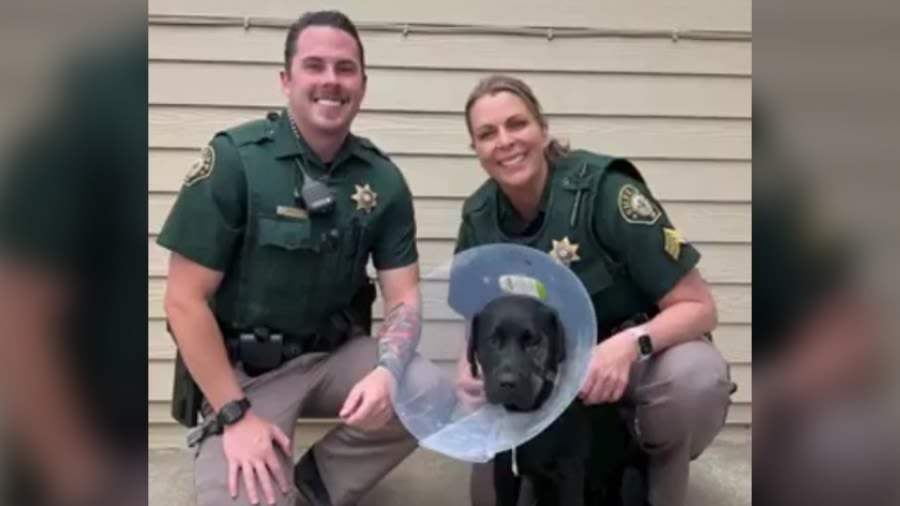 Video: Jeffco deputies rescue pup trapped under metal gate