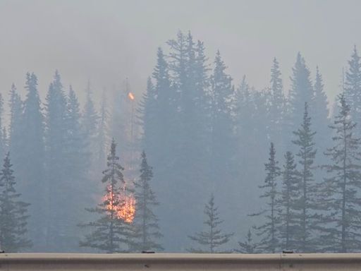 Thousands flee western Canadian town as wildfires spread