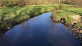 Chris Hardie: Driftless Area hooks anglers with trout stream work