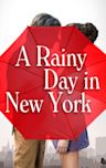 A Rainy Day in New York