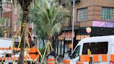 Palm trees on Montreal's Ste-Catherine Street as film crew takes over the Village