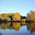 Botanischer Garten Rombergpark