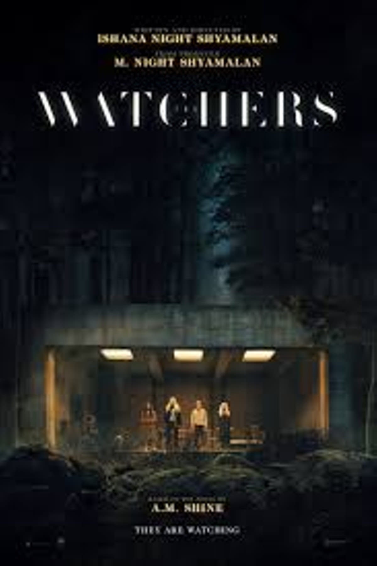 The Watchers