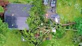 Trees toppled, roads flooded as severe weather wreaks havoc on Massachusetts