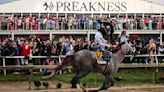 Seize the Grey, with Jaime Torres up, captures the 149th running of the Preakness Stakes at Pimlico Race Course on Saturday, May 18, 2024, in Baltimore.