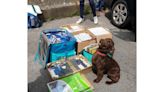 Illegal tobacco and vapes seized in police raids