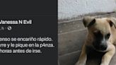 Joven de 15 años presume en Facebook que adoptó cachorrito para torturarlo y asesinarlo